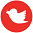 velotorque brisbane twitter feed